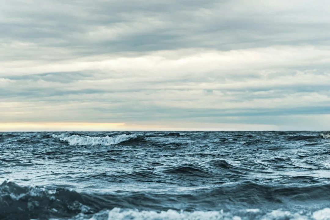 Ocean waves beneath an expansive sky, representing interconnection and the relationship between part and whole.